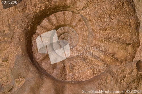 Image of Shell of prehistoric ammonite imprint on stone