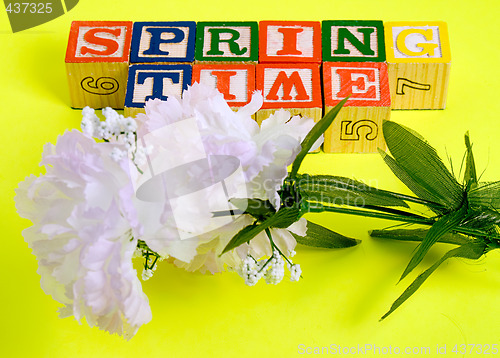 Image of Spring Flower