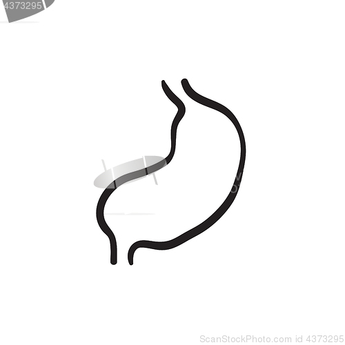 Image of Stomach sketch icon.