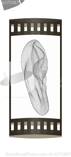 Image of Ear digital model. 3d illustration. The film strip.