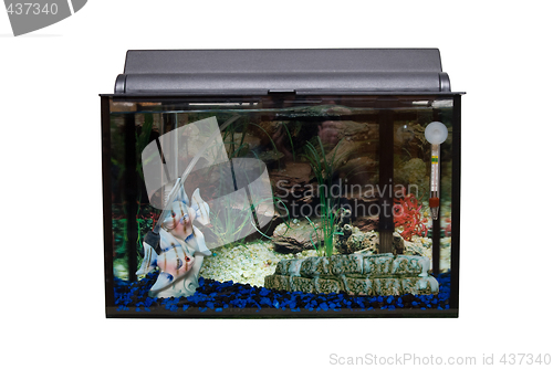 Image of Isolated Fishtank