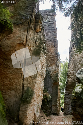 Image of sandstone rocks - Prachovske skaly (Prachov Rocks)