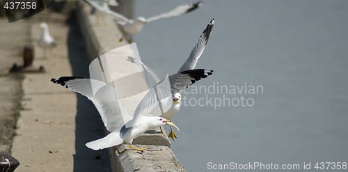 Image of Snack Time