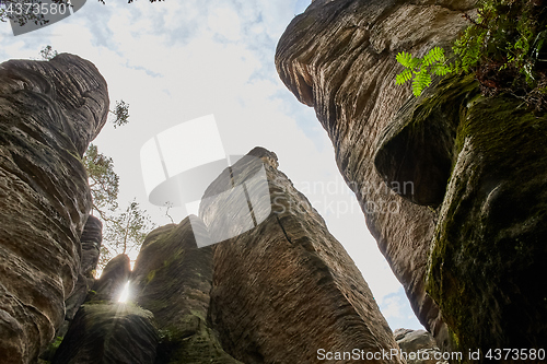 Image of sandstone rocks - Prachovske skaly (Prachov Rocks)