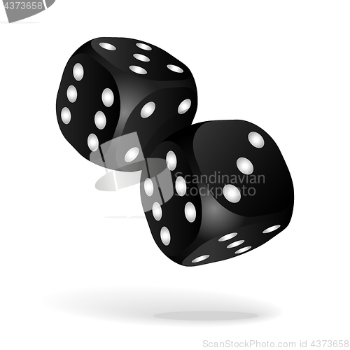 Image of Black dice with white pips on the white background