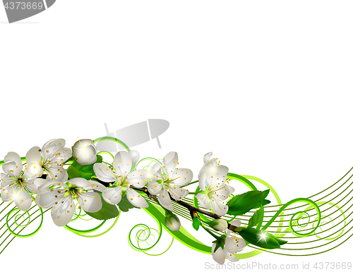 Image of Blossoming cherry branch with white flowers