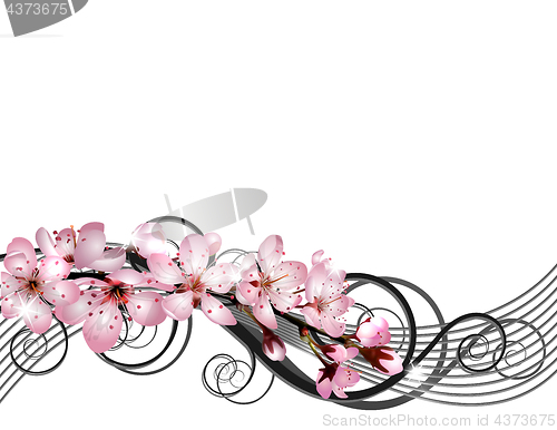 Image of Blossoming sakura cherry branch with pink flowers