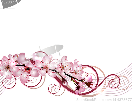 Image of Blossoming sakura cherry branch with pink flowers