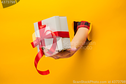 Image of close-up of female hand holding a present through a torn paper, isolated