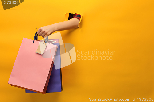 Image of Female hand holding bright shopping bags