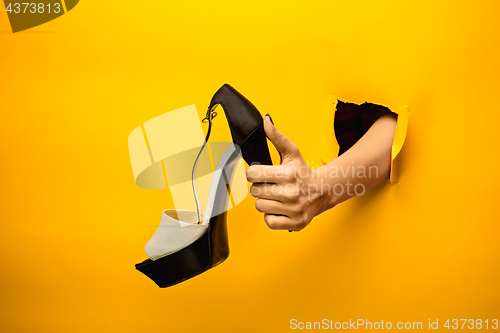 Image of Brown woman shoe on hand isolated