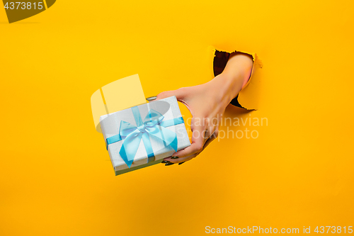 Image of close-up of female hand holding a present through a torn paper, isolated