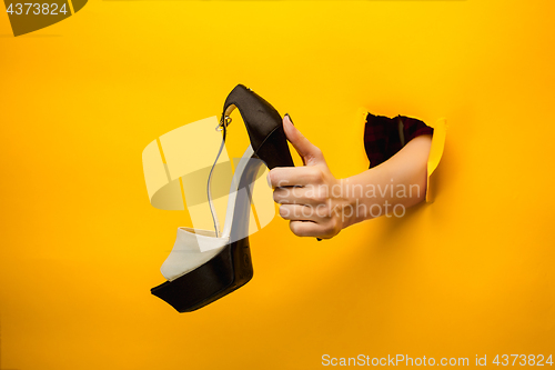 Image of Brown woman shoe on hand isolated
