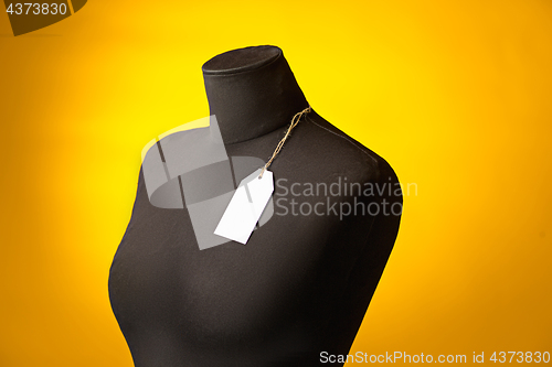 Image of The empty dummy, sale price tag hanging from the button hole.