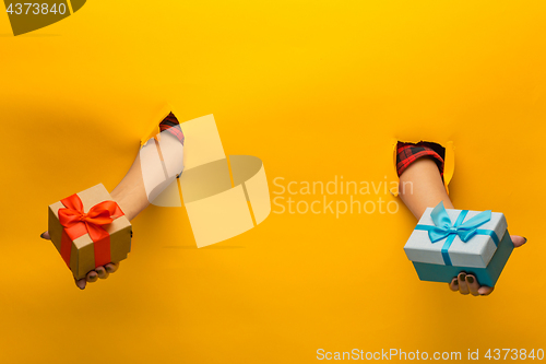 Image of close-up of female hand holding a present through a torn paper, isolated