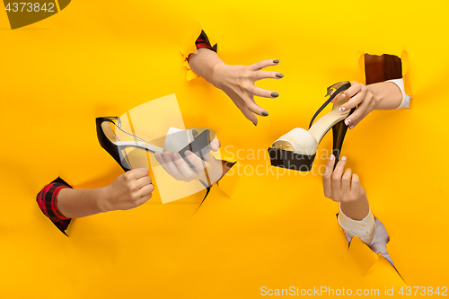 Image of Brown woman shoe on hand isolated