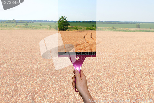 Image of A hand washes the window