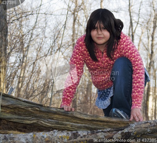 Image of Girl Climbing A Tree