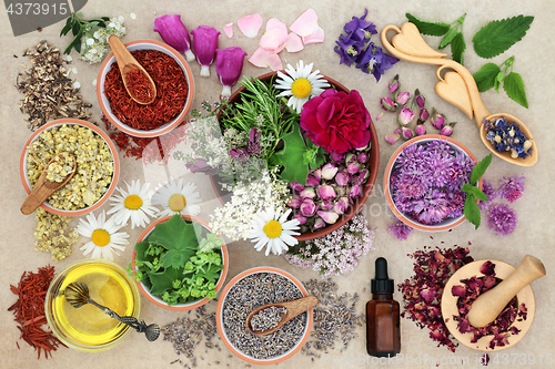 Image of Herbal Medicine Preparation 