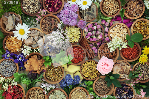 Image of Herbal Medicine Background  