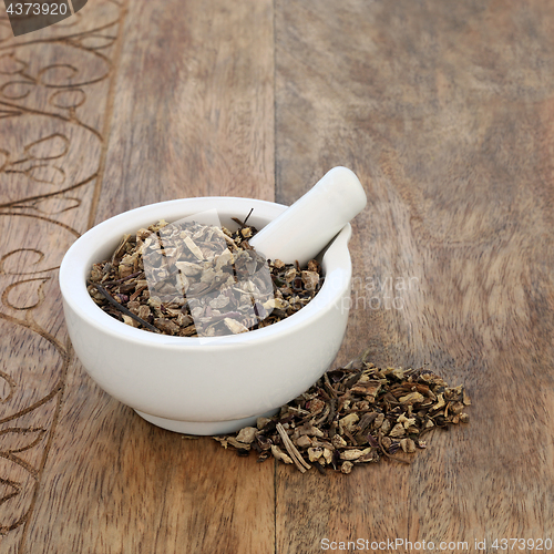 Image of Echinacea Root Herb