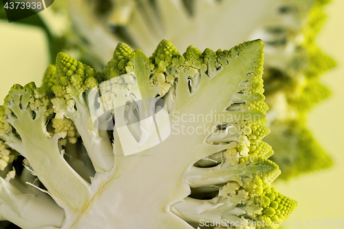 Image of A half of a Romanesco broccoli (also known as Roman cauliflower)