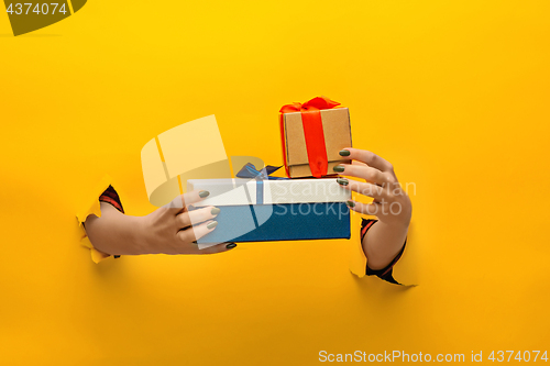 Image of close-up of female hand holding a present through a torn paper, isolated