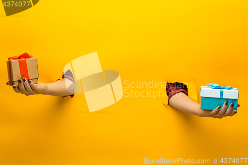 Image of close-up of female hand holding a present through a torn paper, isolated