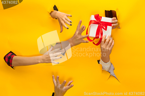 Image of close-up of female hand holding a present through a torn paper, isolated