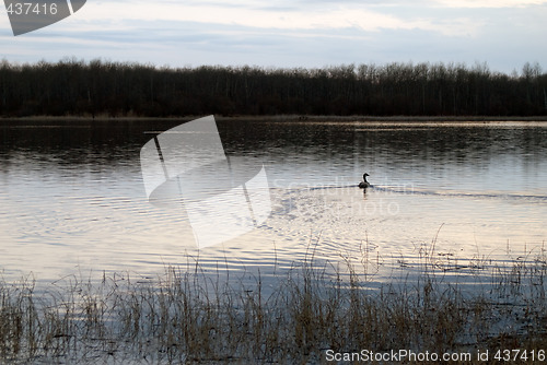 Image of Shimmering Lake