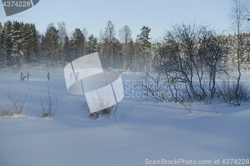 Image of Norwegian winter landscape