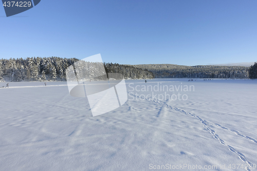 Image of Norwegian winter landscape