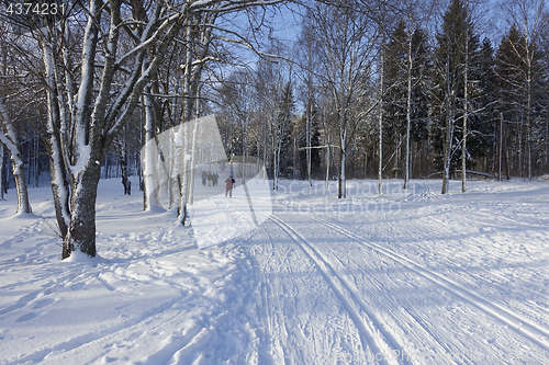 Image of Norwegian winter landscape