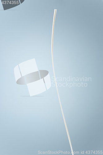 Image of Splash of milk or cream isolated on blue background