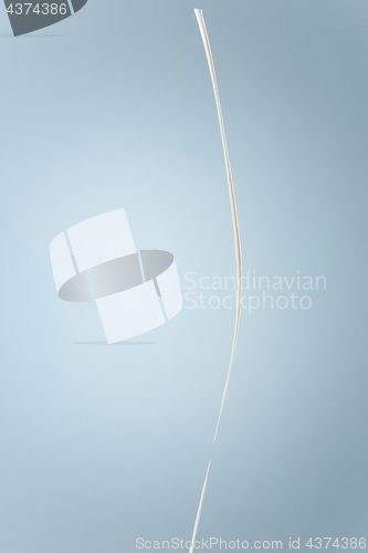 Image of Splash of milk or cream isolated on blue background