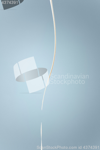 Image of Splash of milk or cream isolated on blue background