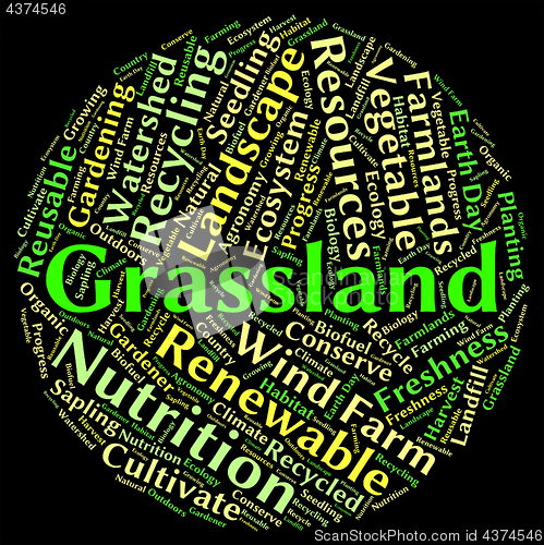 Image of Grassland Word Means Grasslands Grassy And Field