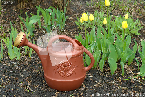 Image of Watering Can