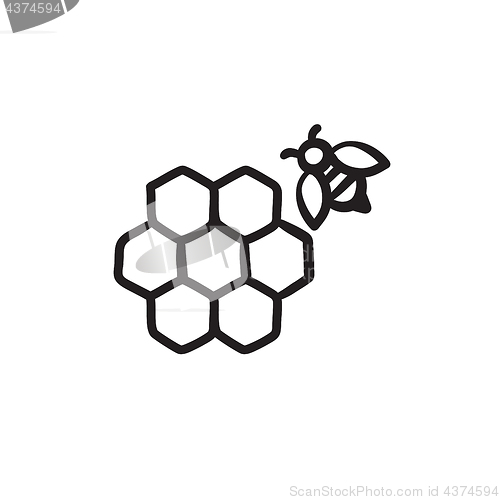 Image of Honeycomb and bee sketch icon.