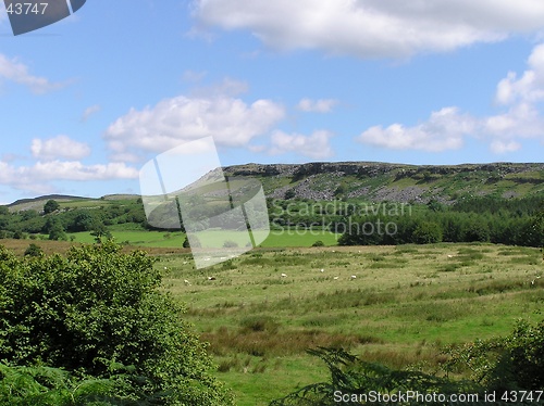 Image of Welsh Scene