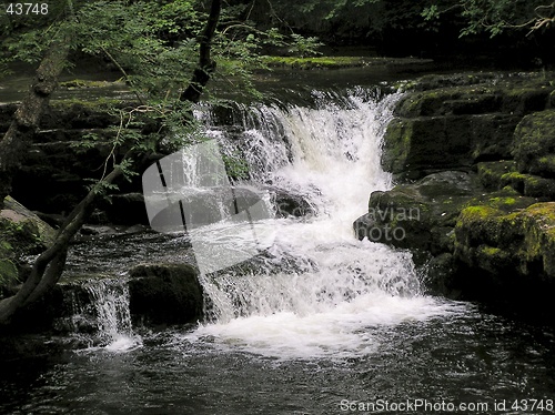 Image of Waterfall