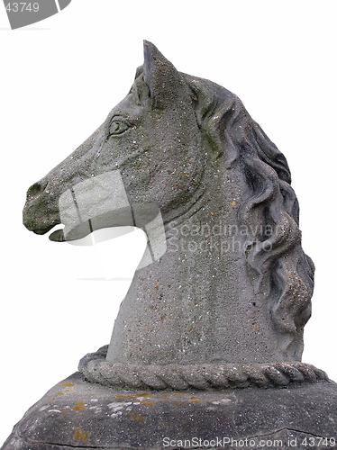 Image of Stone Horse Head