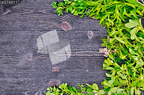 Image of Frame of spicy grass on black board