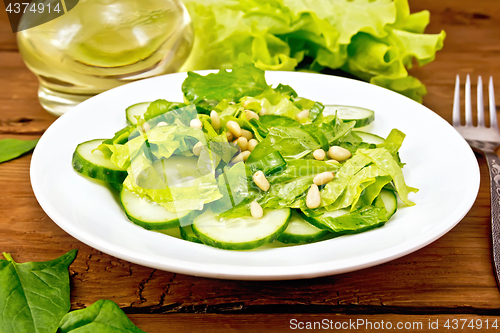 Image of Salad from spinach and cucumber with cedar nuts on board