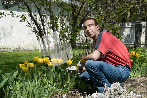 Image of Happy Gardener