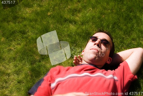 Image of Relaxing In The Sun