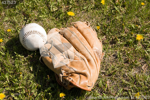 Image of Baseball And Glove