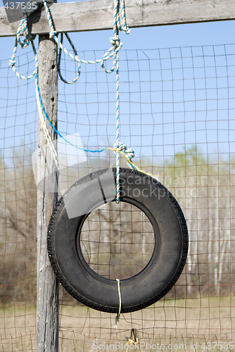 Image of Tire Swing