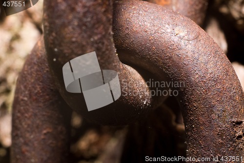 Image of Macro Chain