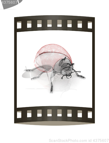 Image of Ladybird on a white background. 3D illustration.. The film strip